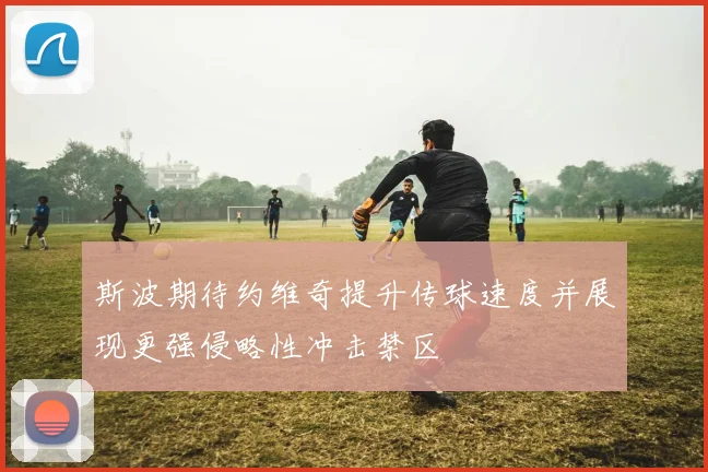 斯波期待约维奇提升传球速度并展现更强侵略性冲击禁区